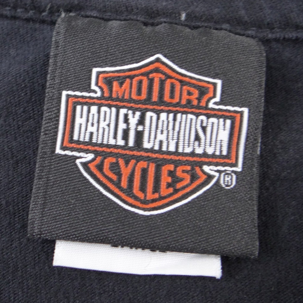 Harley-Davidson Big Logo Durango Colorado Steam Engine Graphic T-Shirt Black Lrg