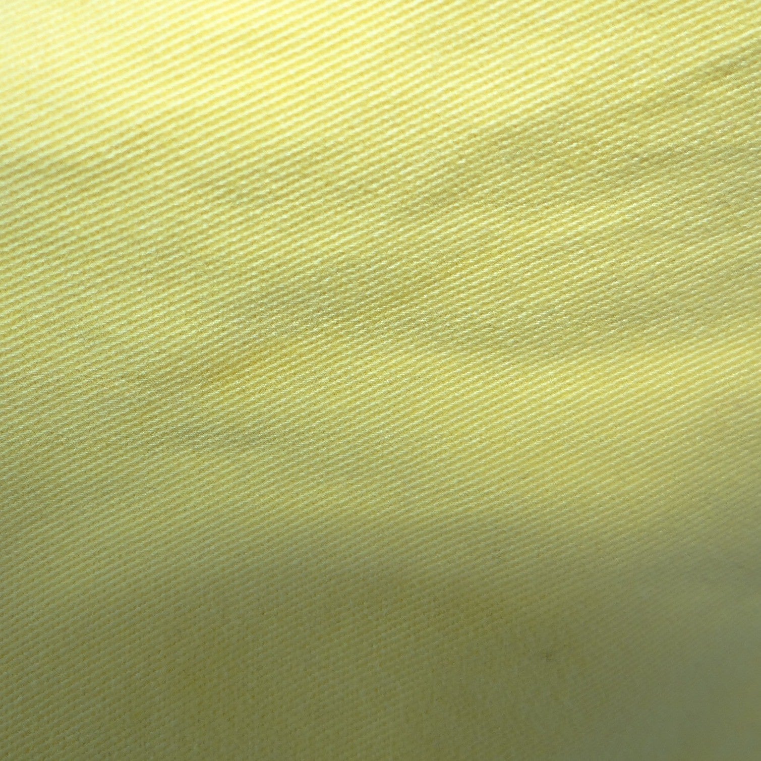 Kim Rogers Womens Yellow Scalloped Hem Cropped Pants Side Zip Size 12 Mid Rise